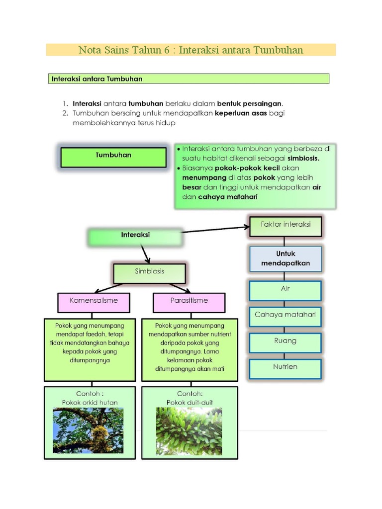 Nota Interaksi Antara Tumbuhan Sc D6 Pdf