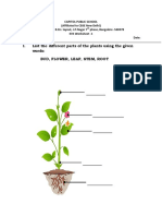 I. List The Different Parts of The Plants Using The Given Words: Bud, Flower, Leaf, Stem, Root