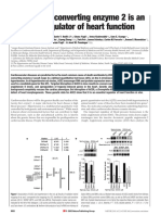 Angiotensin-converting Enzyme 2 is An