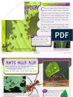 Animlsk-2 WHT Animls Need Ifile Lfcuttr Ant
