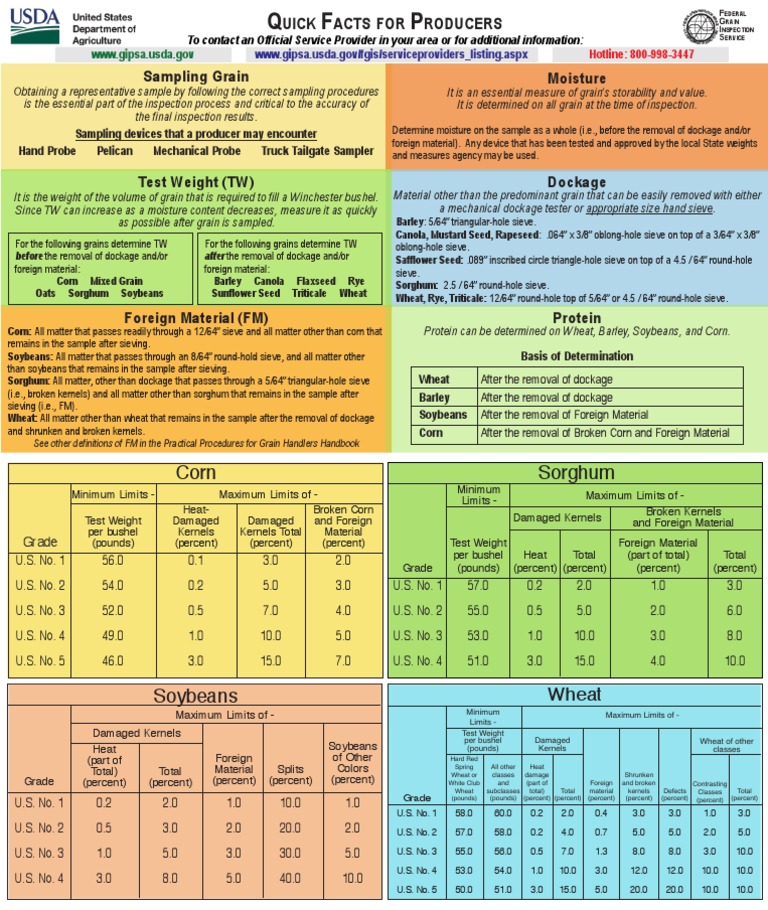 Grain Sampling and Inspection Guide | PDF | Wheat | Rye