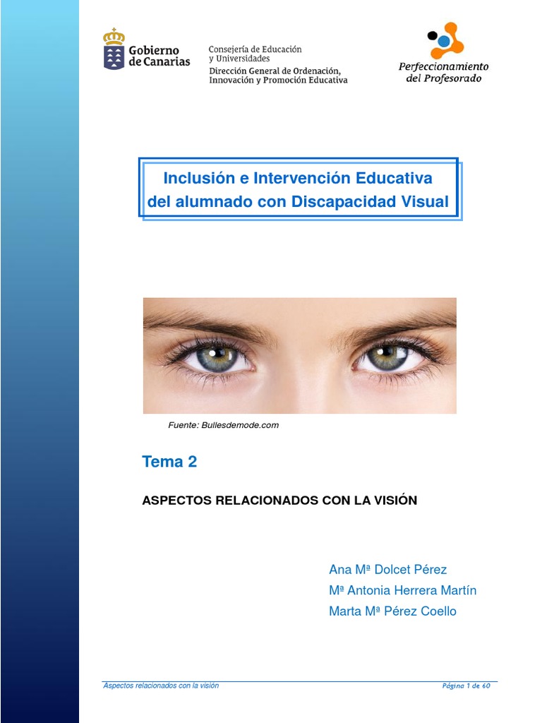 Inclusión Educativa en Discapacidad Visual | PDF | Ojo humano ...