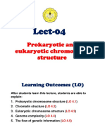 LECT-04 Prokaryotic and eukaryotic chromosome structure (EVEN 2017-2018)