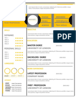 CV TEST - Copie