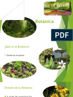 Botánica