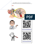 Anatomy of The Larynx: Larynx ENT Lab. Asist. Univ. Dr. Florentina Severin