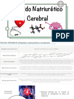 Actividad 7 (Individual) - Hormonas