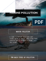Marine Pollution Report