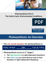 Calvin Cycle Updated