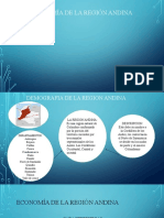 Demografia de La Region Andina