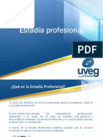 presentacionestadiaprofesional