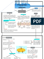 Transportes Celulares y Liquidos y Electrolitos