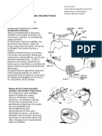 Arbori y Fruticultura Troxler 5 Cuidados de los frutales