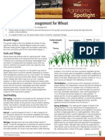 Soil and Nutrient Management For Wheat - WestBred