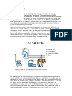 Processo de Produção do Leite Longa Vida UHT