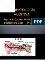 Fisiopatologia Auditiva3.2017