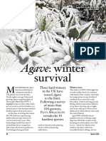 A Gave Winter Survival