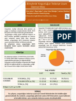 poster pelin pdf (1)