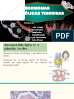 Expo Fisiologia Hormonas Tiroideas