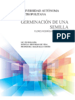 Germinación Semilla