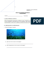 Guia N°1 Componentes de Un Ecosistema Ciencias Naturales Cuarto Basico