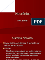 Aula 3 - Neurônios
