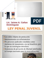 Proceso y  Ley penal juvenil