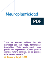 Neuroplasicidadsicoupv
