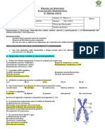 347754726 Diagnostica Biologia III Medio