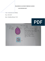 Laporan Anatomi Batang Muhammad Rizki Harahap