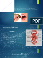 Anatomía y Fisiología Del Gusto Si