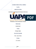 Trabajo Final de Anatomia