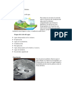 Biologia Ciclo Del Agua