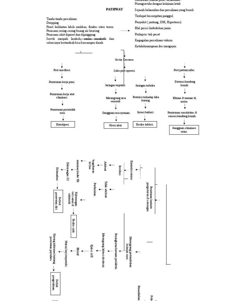 Pathway Perawatan Pasca Sectio Caesarea | PDF