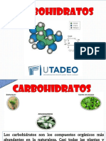 Carbohidratos: estructura y tipos de azúcares