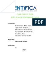 Cálculo Del Balance Energético