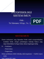 Patofisiologi Sistem Imun 1