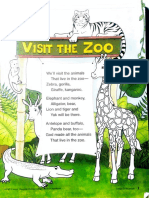 Visit The Zoo: Zebra, Gorilla
