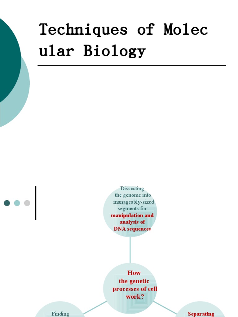 Techniques of Molec Ular Biology | PDF | Plasmid | Molecular Cloning