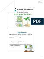 Lecture Notes - Plant Water Relations 1