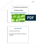 Lecture Notes - Plant Cell Structure