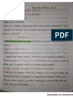 Guía 1 Filosofía Alejandra Alejandra Pedroza Mendoza 10°1