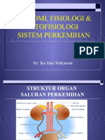 Anatomi Fisiologi Sistem Perkemihan