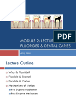 M2L3 Handout - Fluoride & Dental Caries