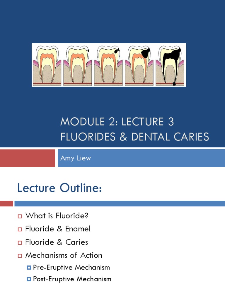 Dental Fluoride Mechanisms | PDF | Tooth Enamel | Fluoride