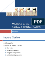 M2L4 Handout - Saliva & Dental Caries