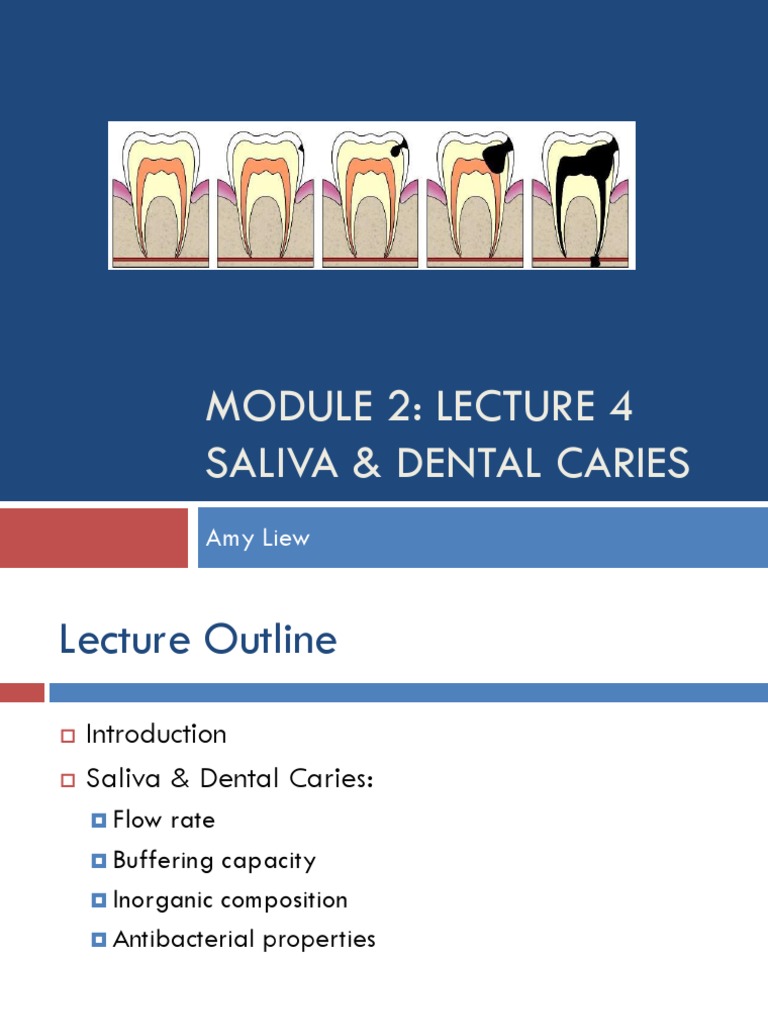 M2L4 Handout Saliva & Dental Caries PDF Saliva Animal Anatomy
