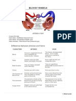 Blood Vessels