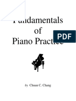 The Fundamentals of Piano Practise