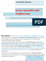 Actinomyces, Nocardia and Tropheryma: Gram Positive Bacteria